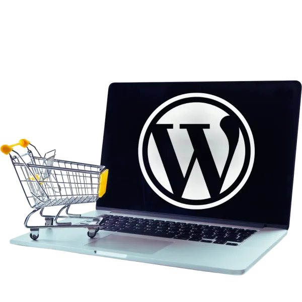 ecommerce icon 2